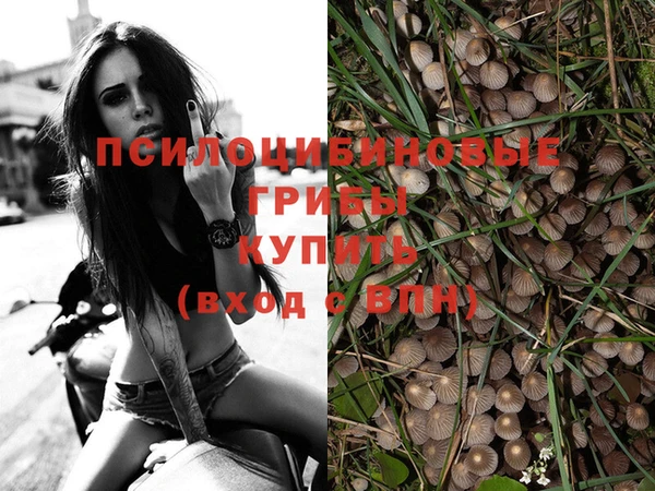 экстази Баксан