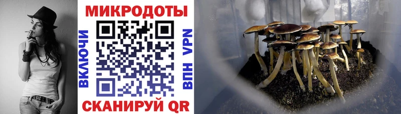 Псилоцибиновые грибы MAGIC MUSHROOMS  Тимашёвск 